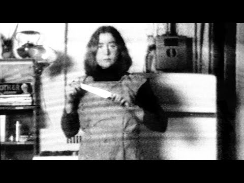 Martha Rosler - Semiotics of the Kitchen, 1975
