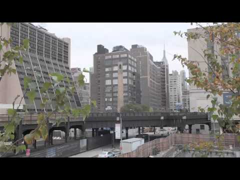 Richard Artschwager&#039;s Blps on the High Line