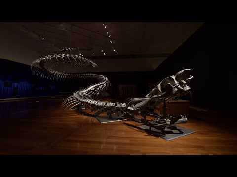 Watch as we install Huang Yong Ping&#039;s snake &#039;Ressort&#039;