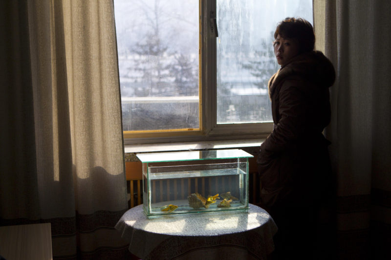 David Guttenfelder - An office at the Korean Central News Agency building in Pyongyang on Jan. 16, 2012