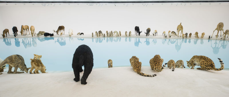 Cai Guo-Qiang, Heritage, 2013. 99 life-sized replicas of animals, water, sand, drip mechanism; installed dimensions variable (detail)