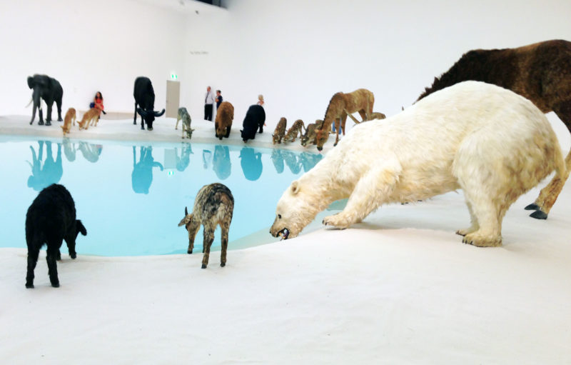 Cai Guo-Qiang, Heritage, 2013. 99 life-sized replicas of animals, water, sand, drip mechanism; installed dimensions variable (detail) - polar bear