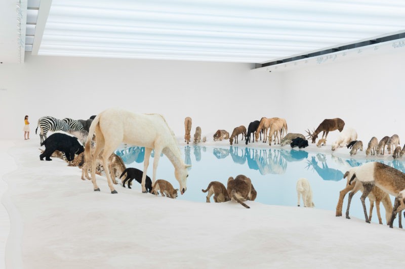 Cai Guo-Qiang – Heritage, 99 life-sized replicas of various animals, water, sand, Gallery of Modern Art, Brisbane, Australia, 2013