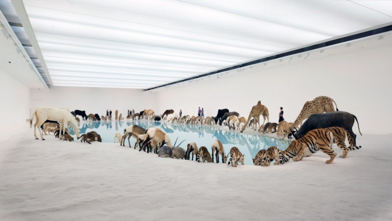Cai Guo-Qiang – Heritage, 99 life-sized replicas of various animals, water, sand, Gallery of Modern Art, Brisbane, Australia, 2013