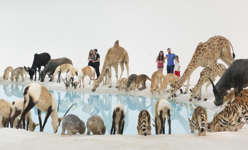 Cai Guo-Qiang – Wateringhole (detail), 99 life-sized replicas of various animals, water, sand, Gallery of Modern Art, Brisbane, Australia, 2013