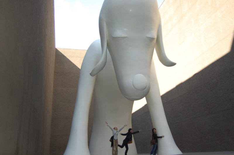 Yoshitomo Nara - Aomori-ken (Aomori dog) - Installation view, Aomori Museum of Art