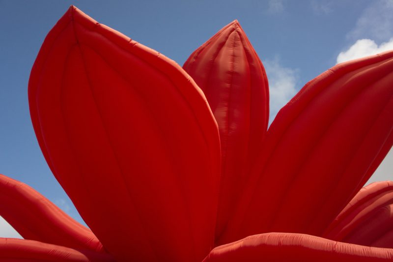 Choi Jeong Hwa - Breathing Flower, 2012, fabric, LEDs, motor, installation view, Civic Center, San Francisco, 2012