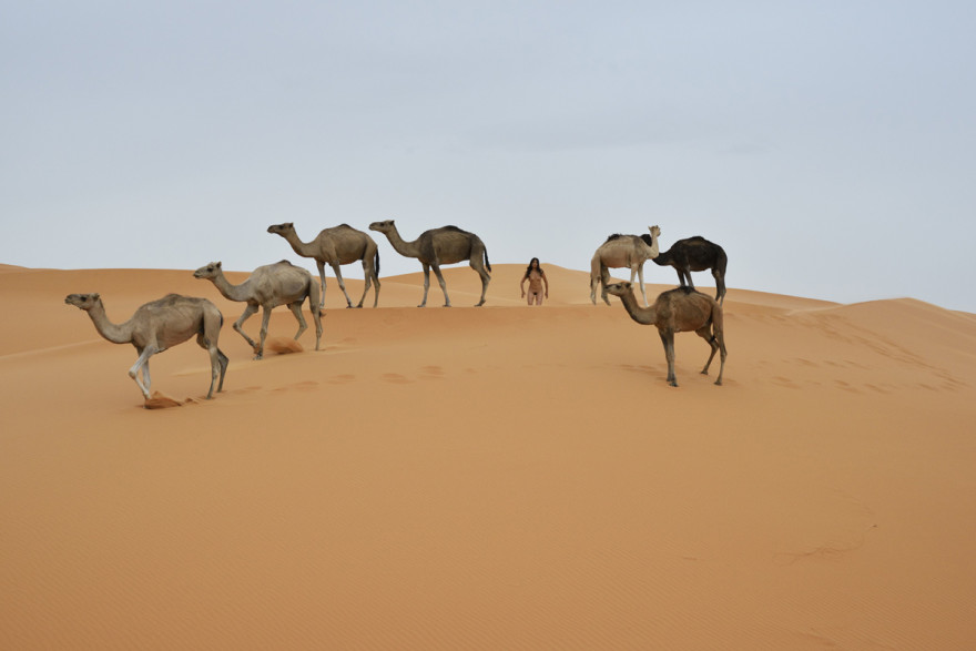 Miru Kim - Erg Chebbi Morocco Sahara 4, 2013