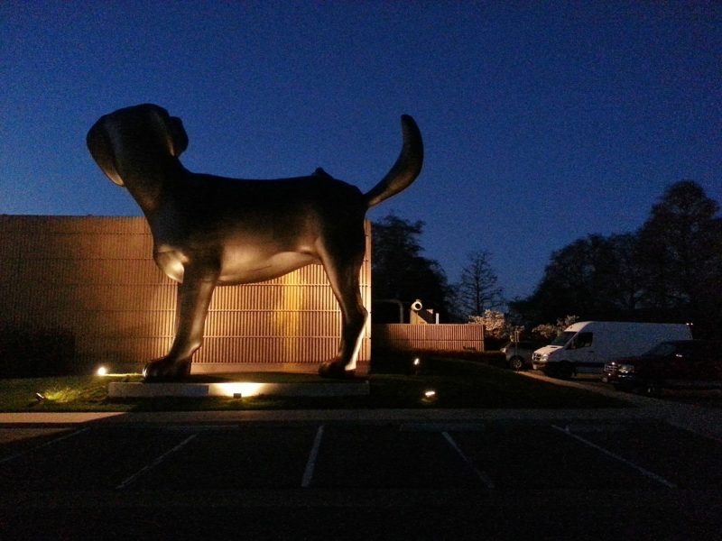 Richard Jackson - Bad Dog, 2013, fiber, reinforced composite skin, steel, 8,5 x 8,7 m (28 x 32’), installation view, Orange County Museum of Art