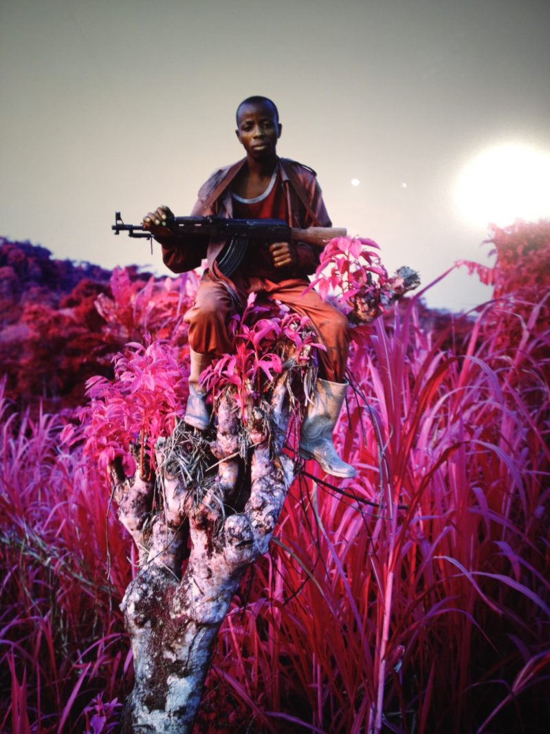 Richard Mosse - Higher ground, 2012, C photograph, 227.0 × 185.0 cm, Courtesy of the artist and Jack Shainman Gallery, New York