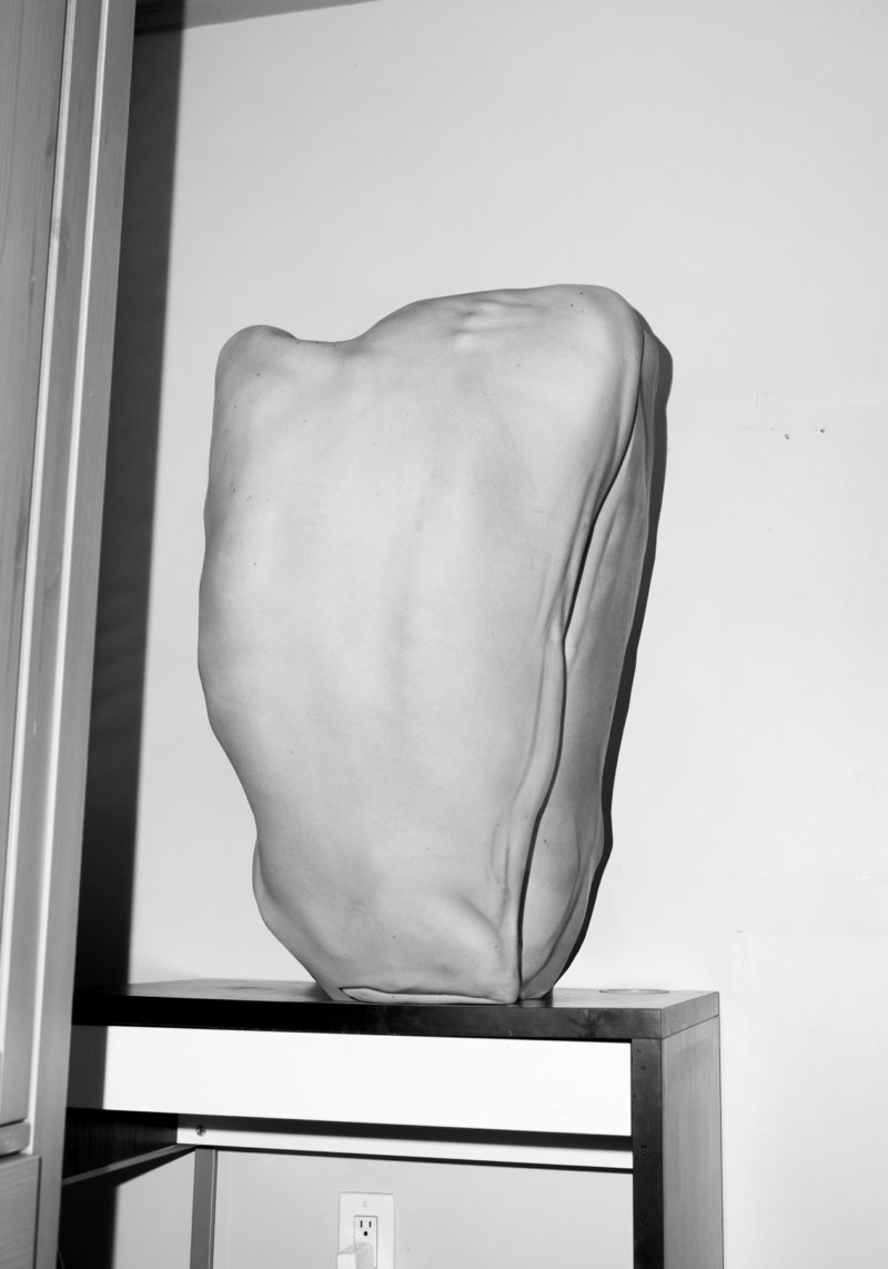 Asger Carlsen - Untitled (Wrong), 2011, 120 x 83 cm