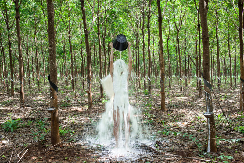 Khvay Samnang - Rubber Man, 2015