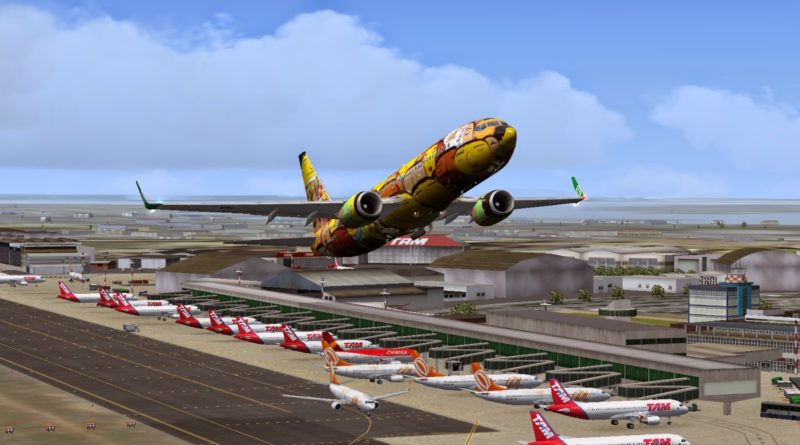 Os Gemeos - Boeing 737