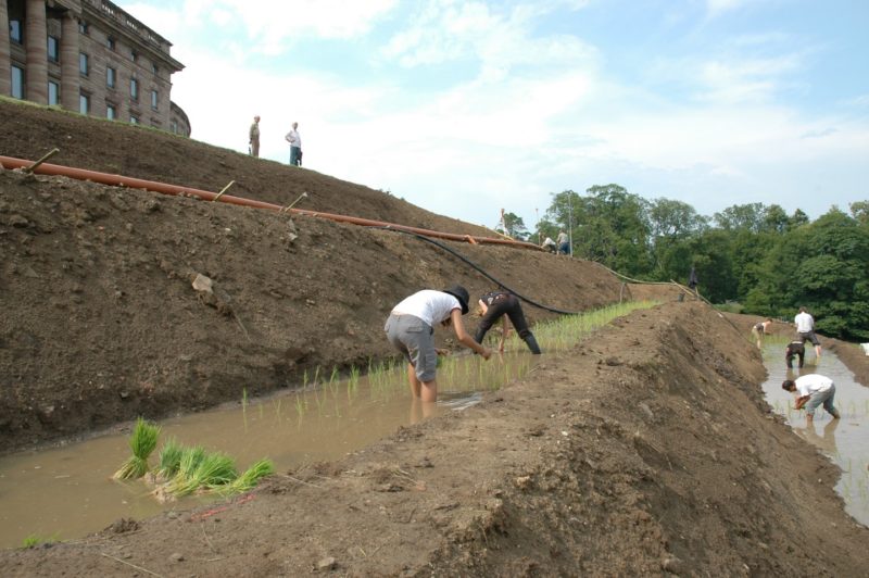 Sakarin Krue-on - Terraced Rice Fields, Schloss Wilhelmshoehe, Kassel, Germany, documenta12