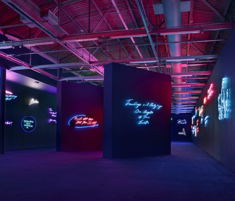 Tracey Emin at Museum of Contemporary Art North Miami, 2014