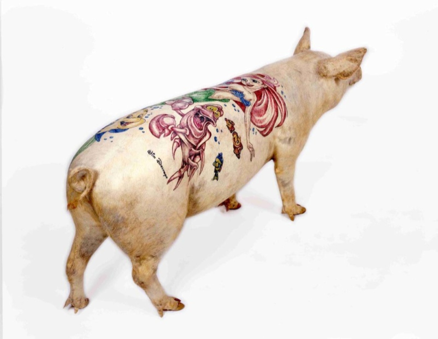 Third tattoo today. (on pig skin) : r/tattooscratchers