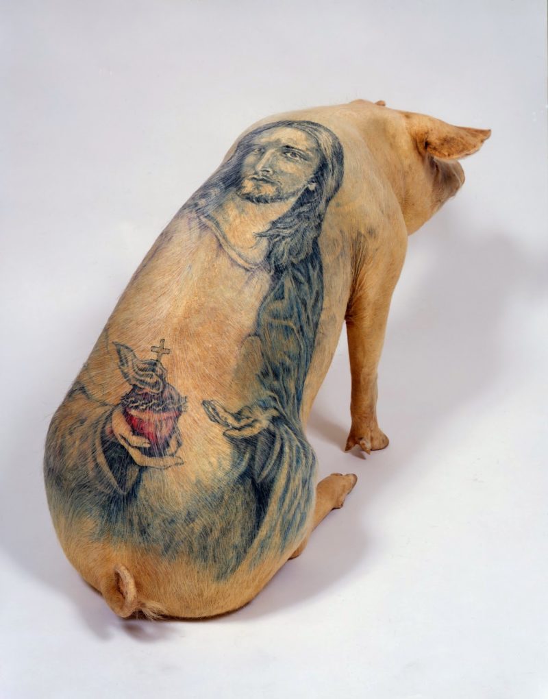 Wim Delvoye - Jesus, tatooed pigskin on polyester mould, 47x25x70cm
