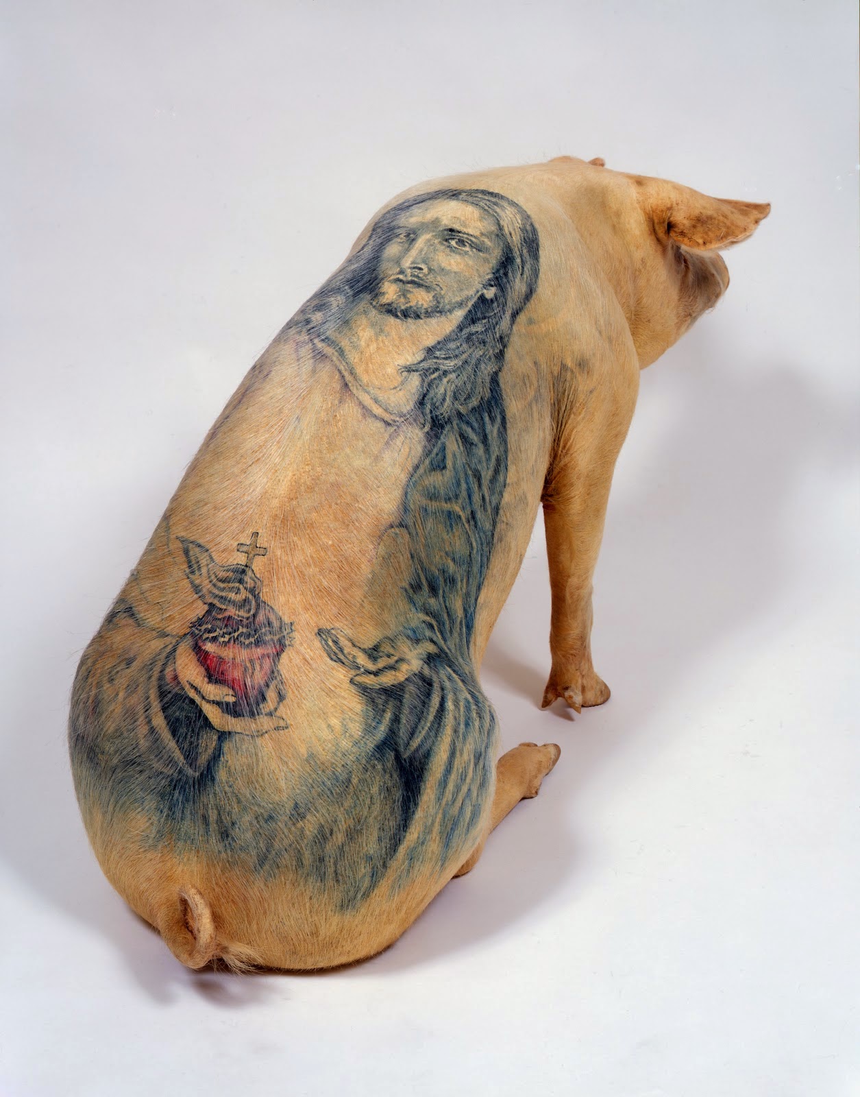 Wim Delvoye Jesus tatooed pigskin on polyester mould