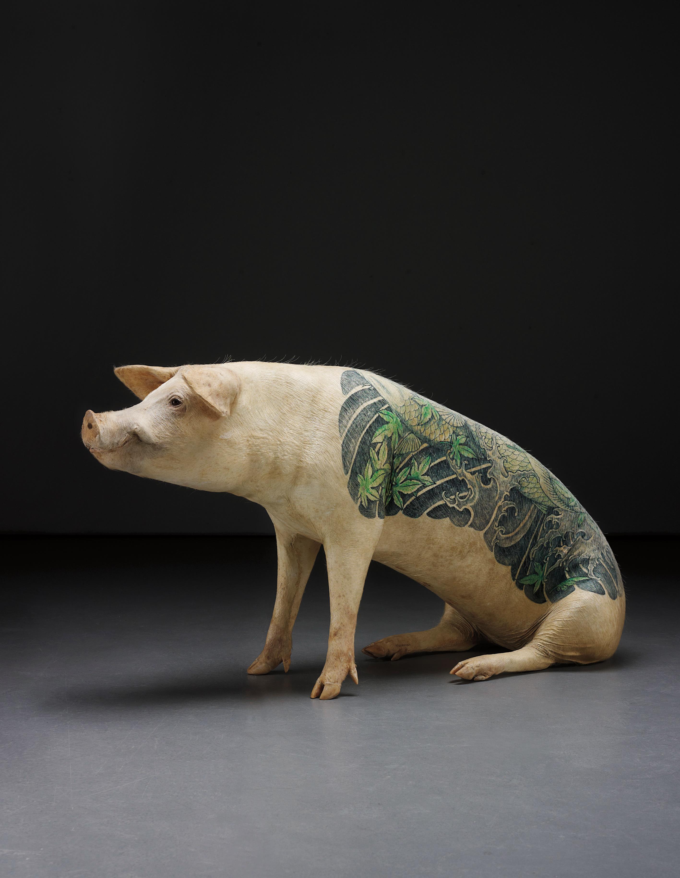 Pigs tattooed with the trademarked pattern of French luxury brand Louis  Vuitton are seen at a farm on the outskirts of Beijing Saturday, July 30,  2005. A Belgian artist Wim Delvoye has