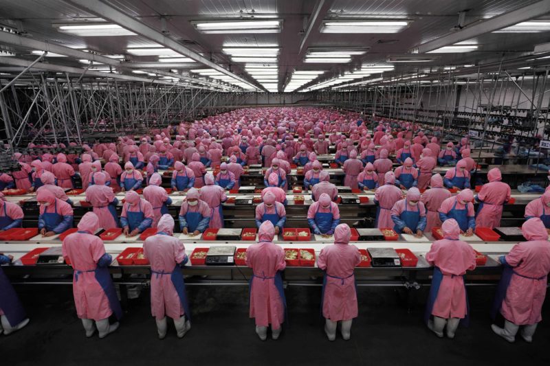 Edward Burtynsky - Manufacturing #17, Deda Chicken Processing Plant, Dehui City, Jilin Province, 2005