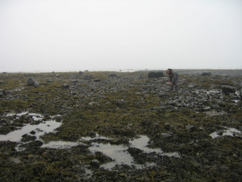 He Yunchang - The Rock Tours Around Great Britain, 2006-07 12