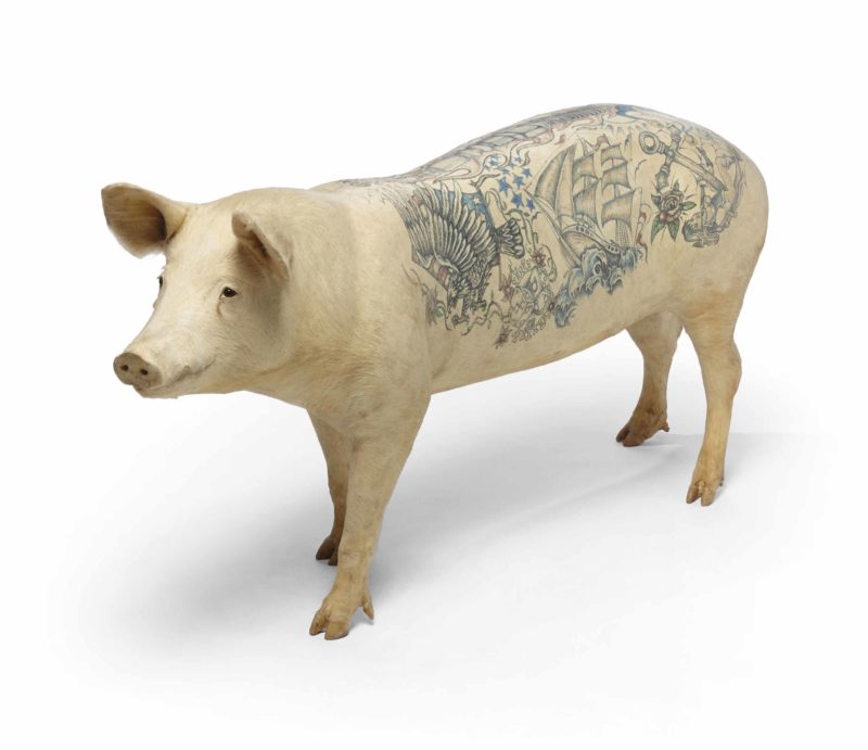 Wim Delvoye - Gloria, 2006, tattooed and stuffed pig, 77 x 160 x 45 cm. (30 3:8 x 63 x 17 ¾ in.)