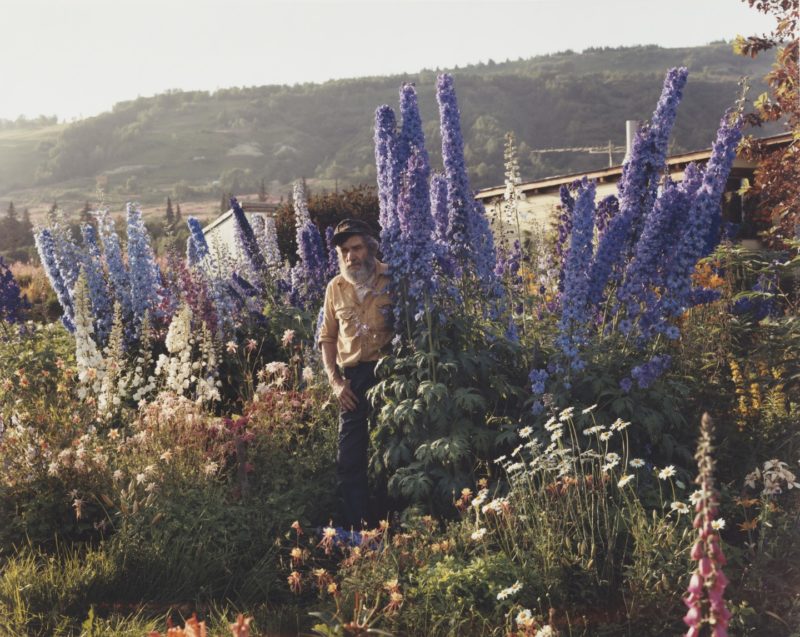 Joel Sternfeld - American Prospects, A Blind Man in His Garden, Homer, Alaska July 1984