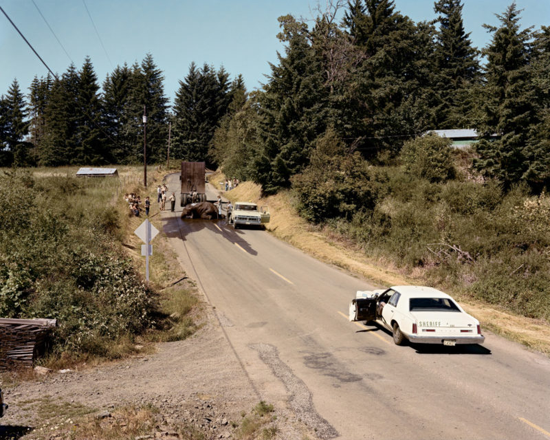 Joel Sternfeld - American Prospects, Exhausted Renegade Elephant, Woodland, Washington, June 1979