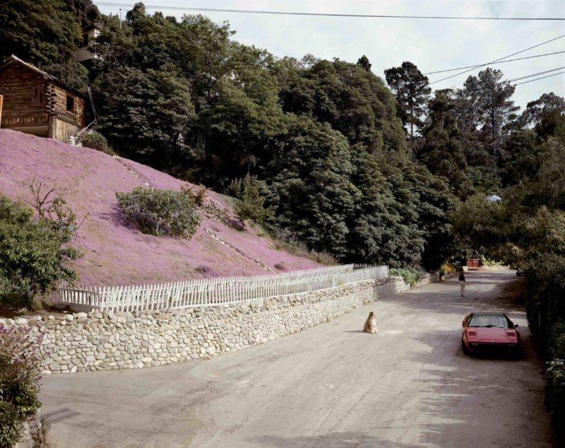 Joel Sternfeld - American Prospects, Rustic Canyon, Santa Monica, California, May 1979