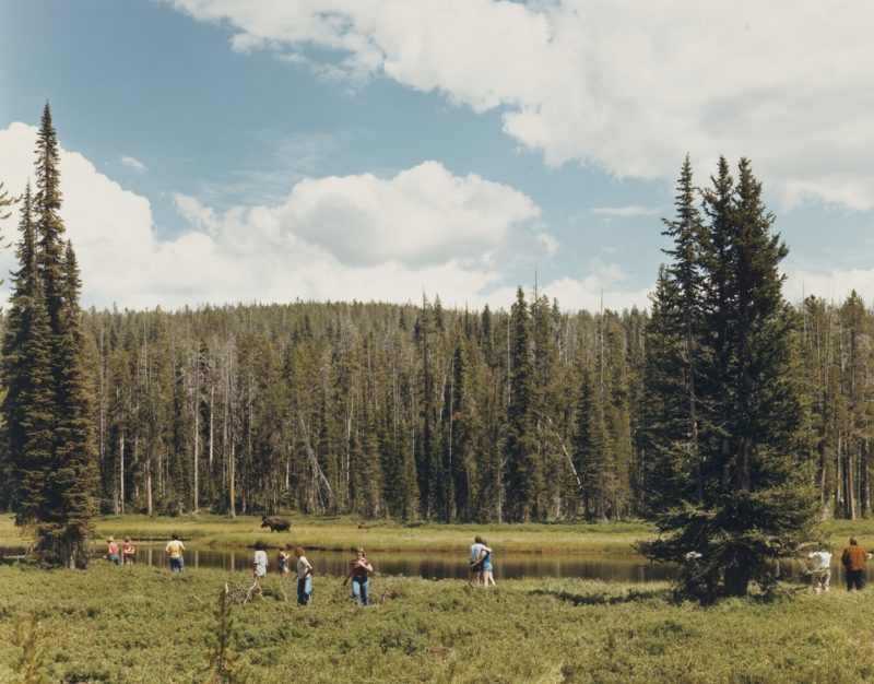 Joel Sternfeld - American Prospects, Yellowstone National Park August 1979