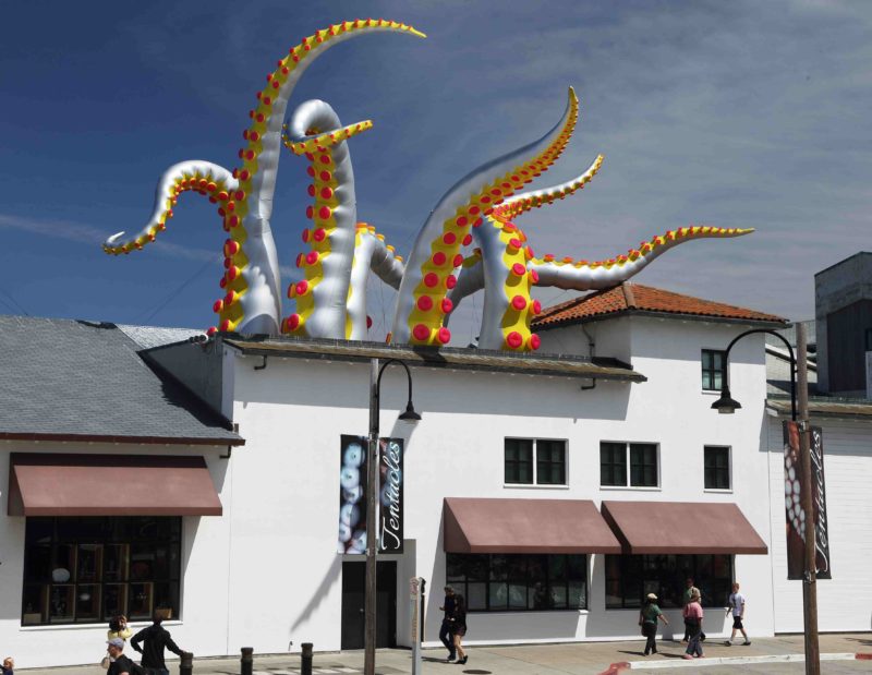 Filthy Luker - Art Attacks tentacle, Monterey Bay Aquarium, 2014
