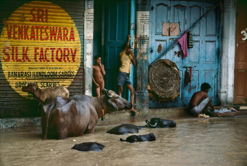 Steve McCurry - Varanasi, India