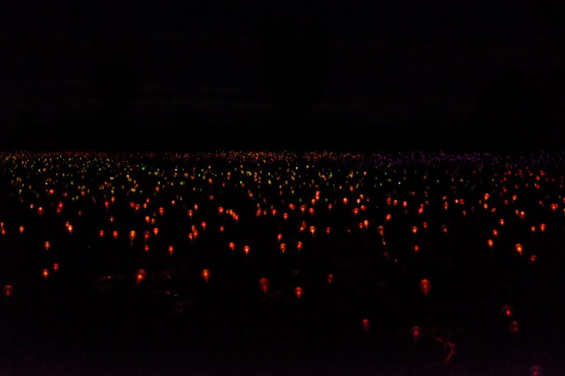 Bruce Munro - Field of Light, 50,000 spheres of light, 2016