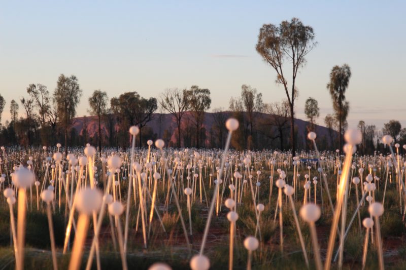 Bruce Munro - Field of Light, 50,000 spheres of light, 2016