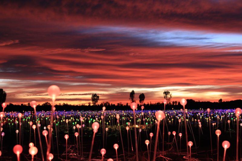 Bruce Munro - Field of Light, 50,000 spheres of light, 2016