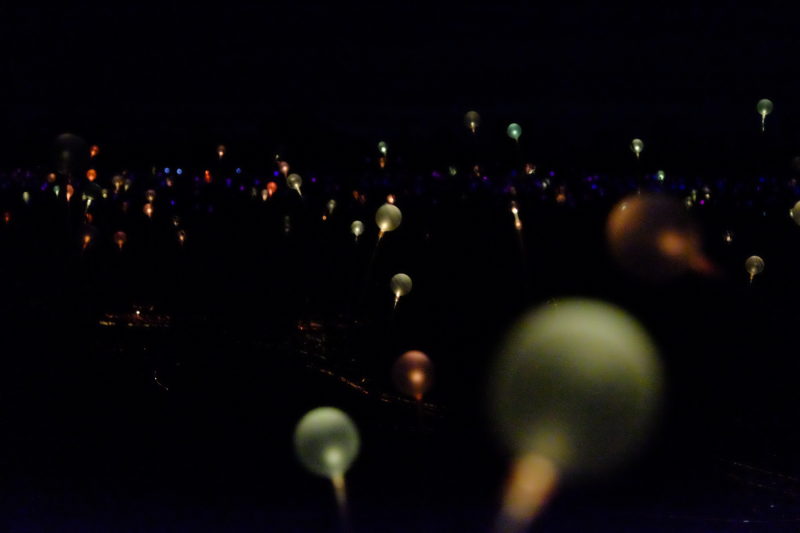 Bruce Munro - Field of Light, 50,000 spheres of light, 2016