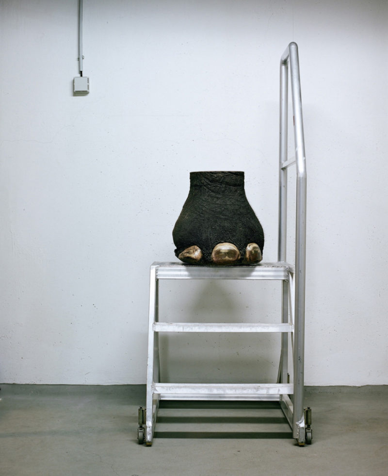 Klaus Pichler - Elephant hoof at the Museum of Natural History, Vienna, 2010, from Skeletons in the Closet