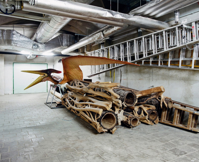 Klaus Pichler - Pteranodon at the Museum of Natural History, Vienna, 2010, from Skeletons in the Closet