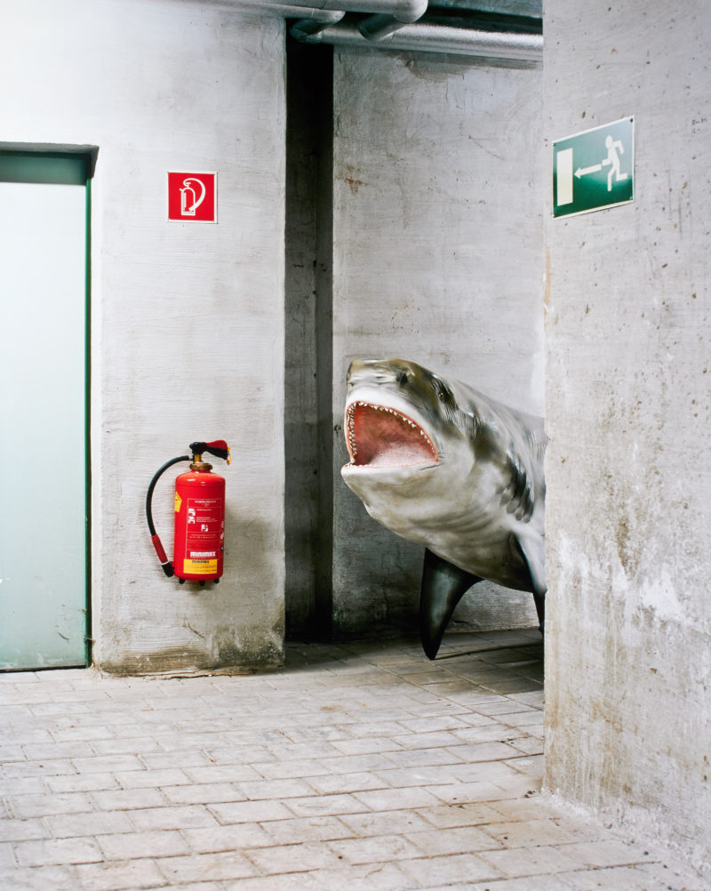 Klaus Pichler - Shark at the Museum of Natural History, Vienna, 2010, from Skeletons in the Closet