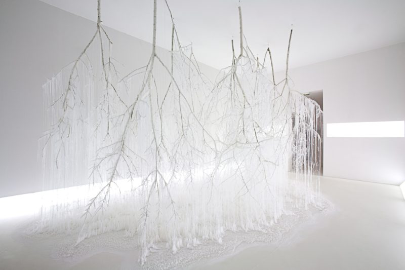 Yasuaki Onishi - Vertical Emptiness FP, 2013, tree branch, glue, urea, other, Elizabeth Leriche, 2014