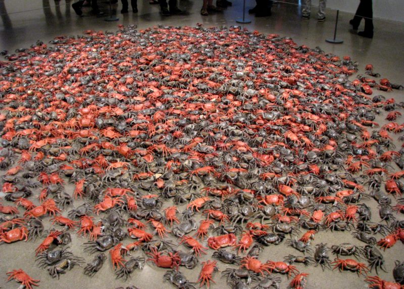 Ai Weiwei - He Xie (crabs), 3200 porcelain crabs, installation view, Art Gallery of Ontario, 2013