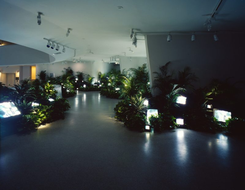 Nam June Paik - TV Garden, 1974 (2000 version), video installation with color television sets and live plants, dimensions vary with installation, Solomon R. Guggenheim Museum, New York 2