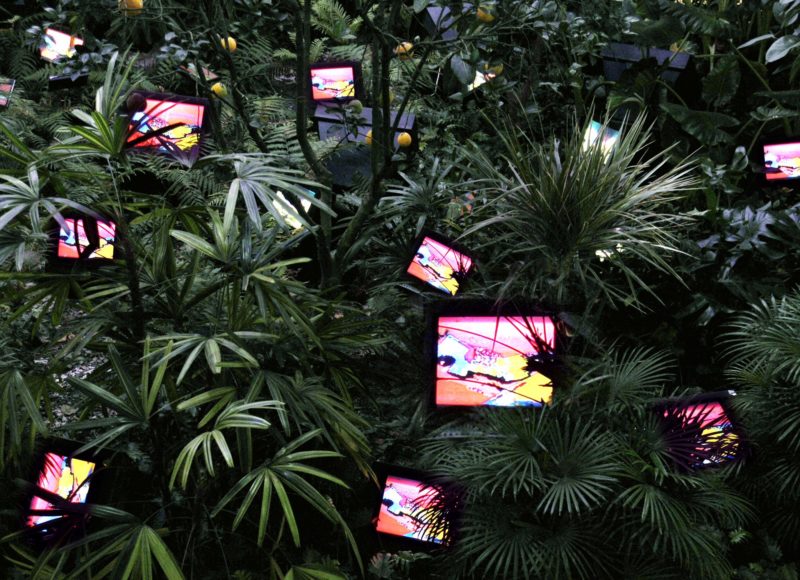 Nam June Paik - TV Garden, 1974 (2002 Version), video installation with color television sets and live plants, dimensions vary with installation 4