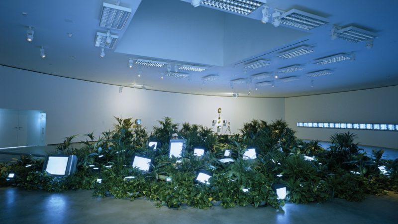 Nam June Paik - TV Garden, 1974, video installation with color television sets and live plants, dimensions vary with installation