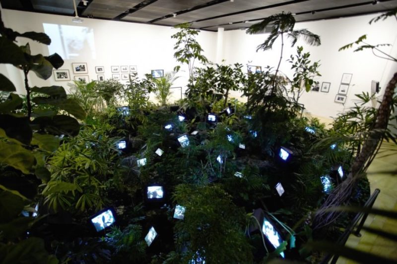 Nam June Paik - TV Garden, 1974, video installation with color television sets and live plants, dimensions vary with installation