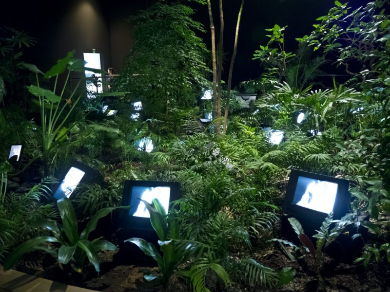 Nam June Paik - TV Garden, 1974, video installation with color television sets and live plants, dimensions vary with installation