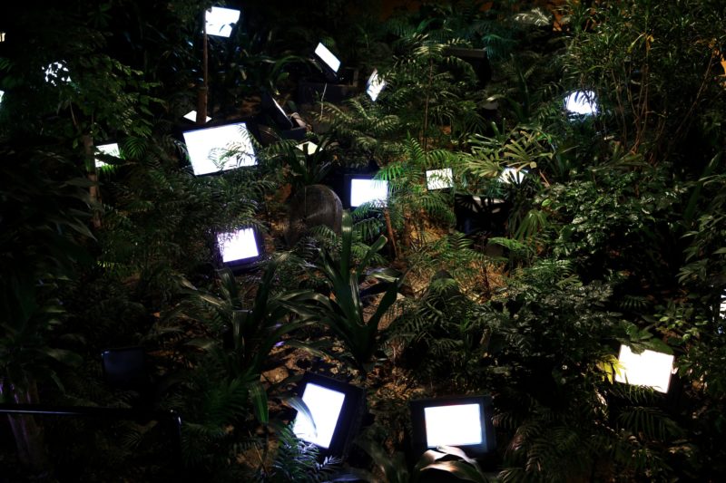 Nam June Paik - TV Garden, 1974, video installation with color television sets and live plants, dimensions vary with installation