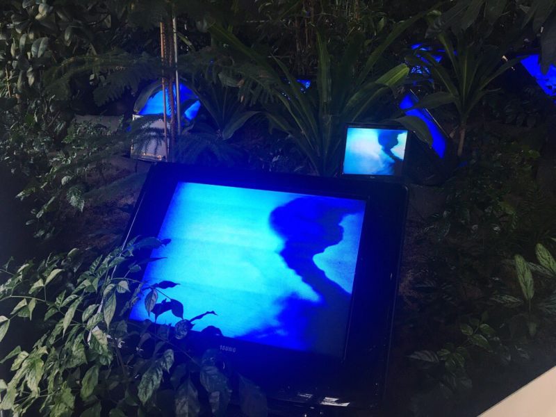 Nam June Paik - TV Garden, 1974, video installation with color television sets and live plants, dimensions vary with installation