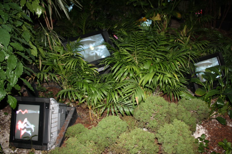 Nam June Paik - TV Garden, 1974, video installation with color television sets and live plants, dimensions vary with installation, Nam June Paik Art Center, Yongin, South Korea