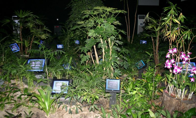 Nam June Paik - TV Garden, 1974, video installation with color television sets and live plants, dimensions vary with installation, Nam June Paik Art Center, Yongin, South Korea